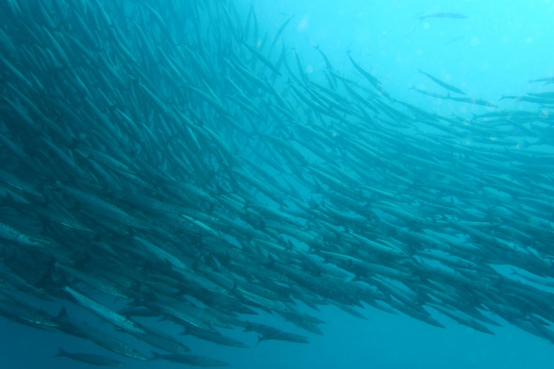 Photographer:Juergen Stamms