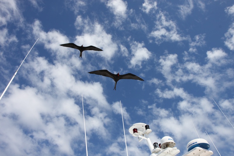 Photographer:
Juergen Stamms