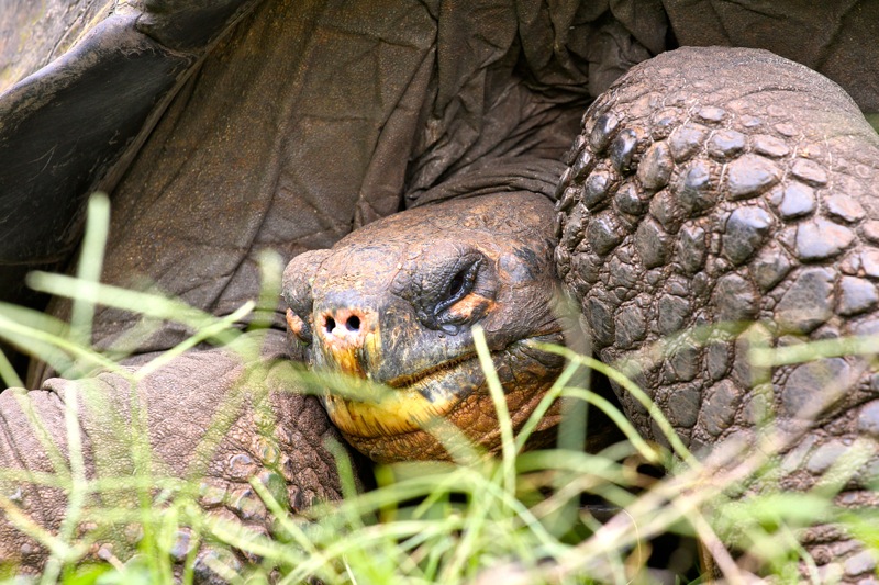 Photographer:Juergen Stamms