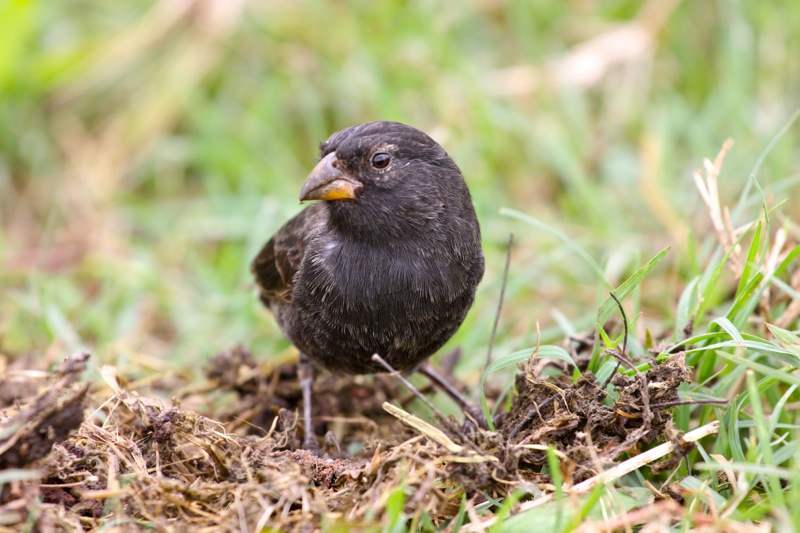 Photographer:Juergen Stamms