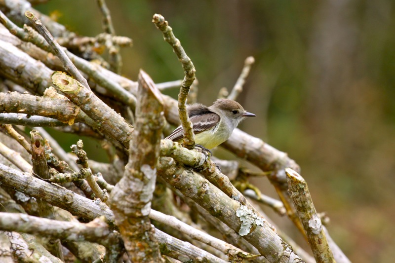 Photographer:Juergen Stamms