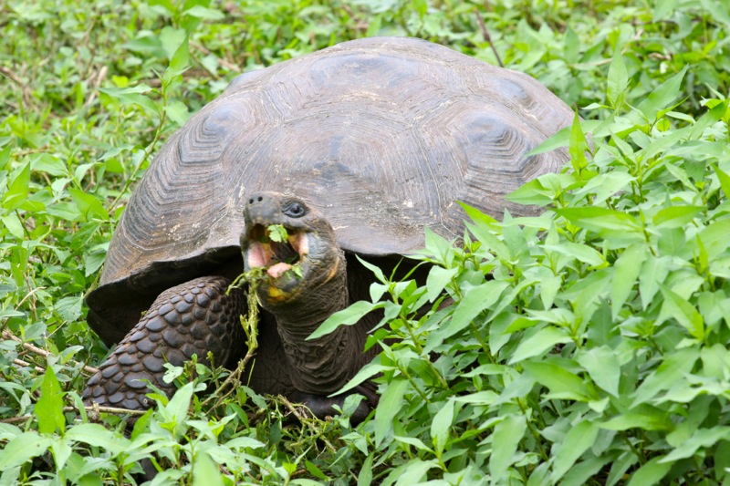 Photographer:Juergen Stamms