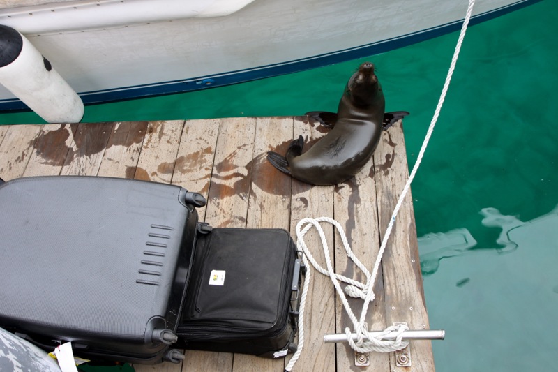 Photographer:Juergen Stamms