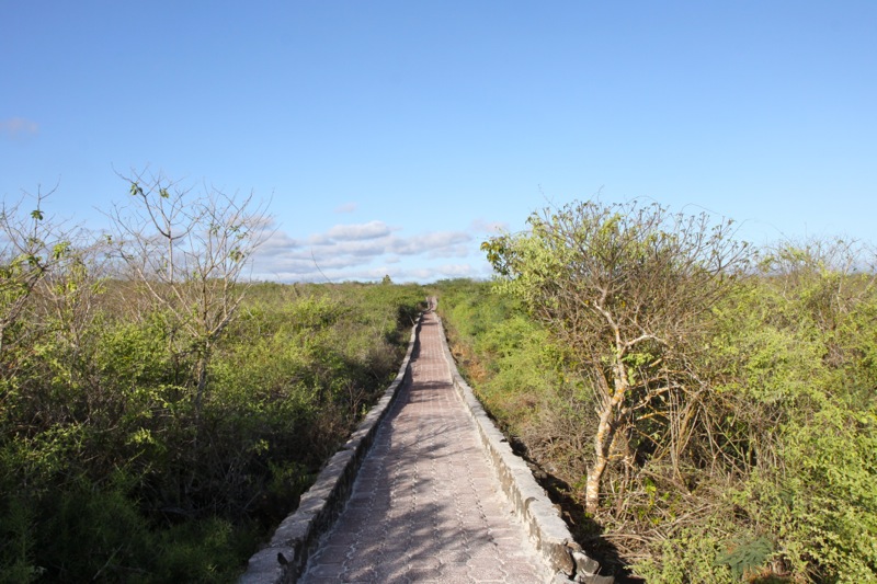 Photographer:Juergen Stamms