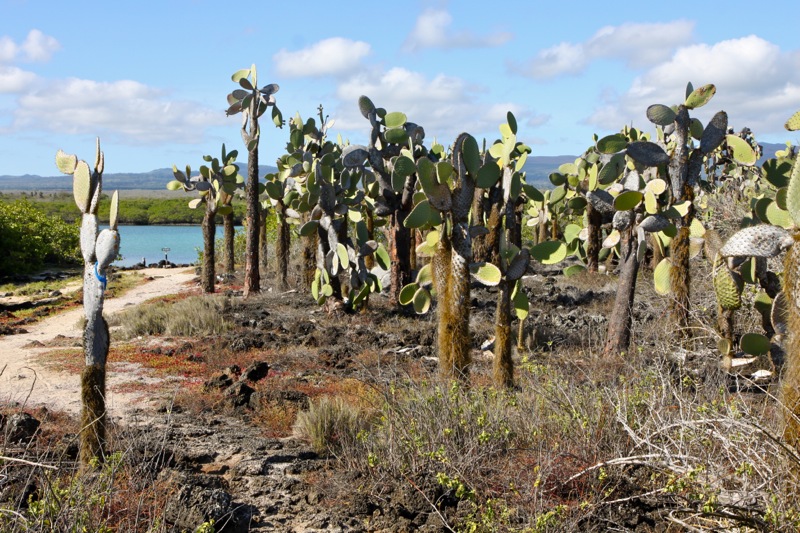 Photographer:Juergen Stamms