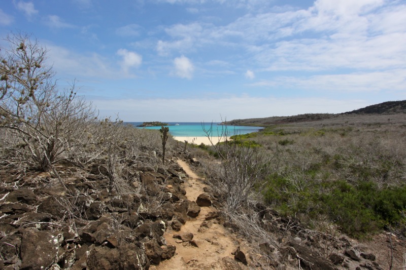 Photographer:Juergen Stamms