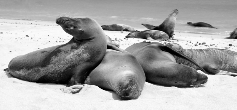 Photographer:Juergen Stamms