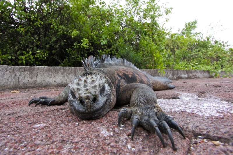 Photographer:Juergen Stamms