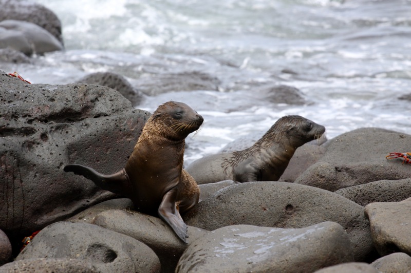 Photographer:Juergen Stamms