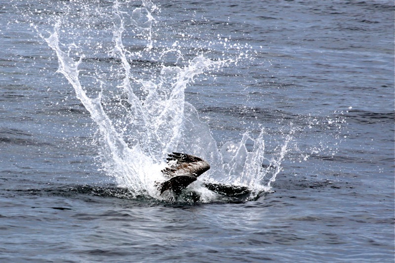 Photographer:Juergen Stamms