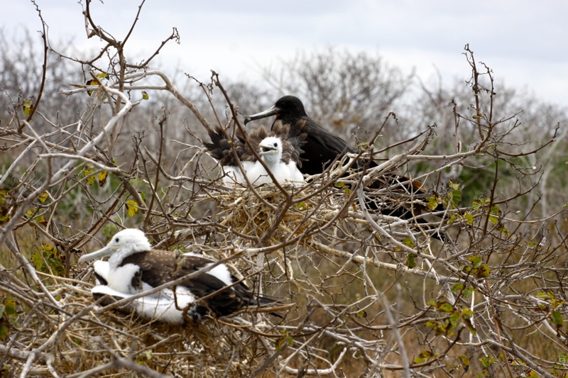 Photographer:Juergen Stamms