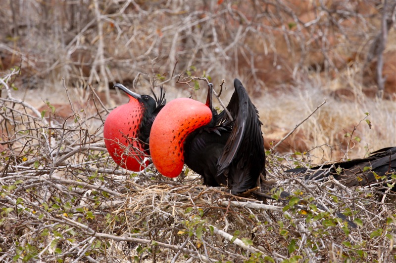 Photographer:Juergen Stamms