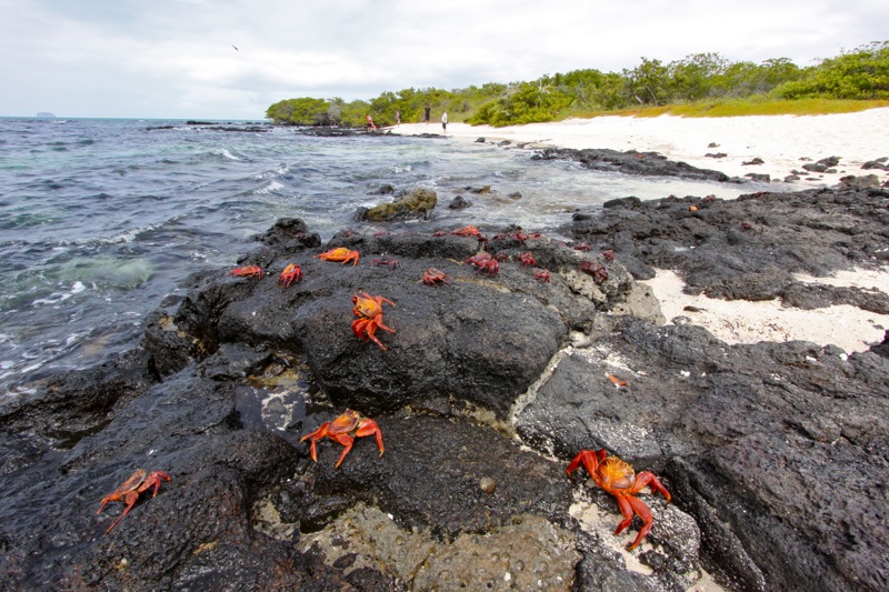 Photographer:Juergen Stamms