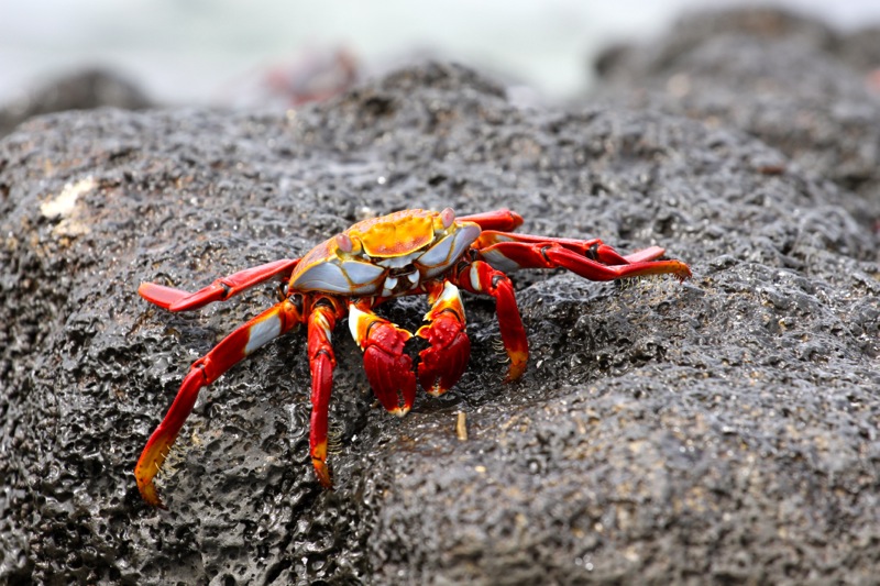 Photographer:Juergen Stamms