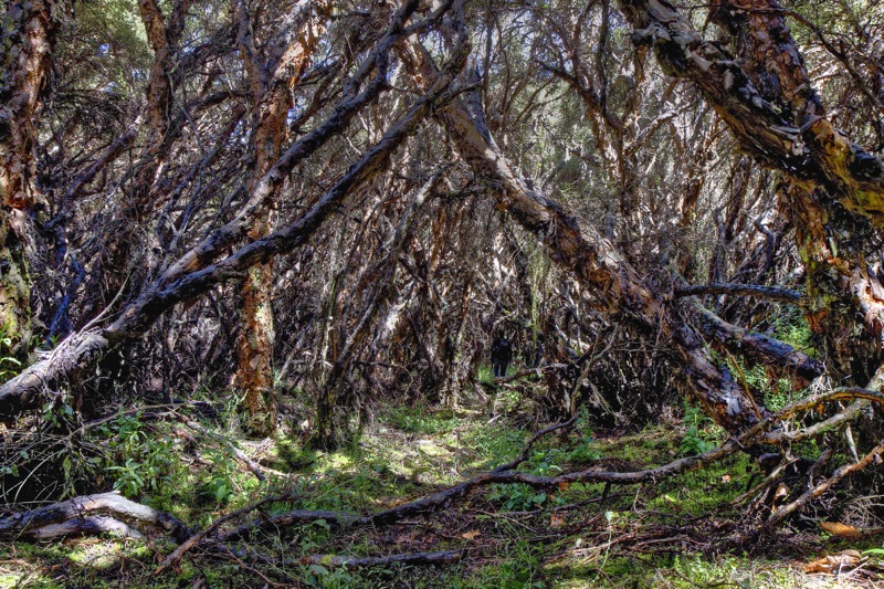 Photographer:
Juergen Stamms