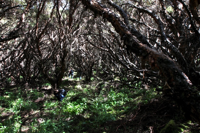 Photographer:Juergen Stamms