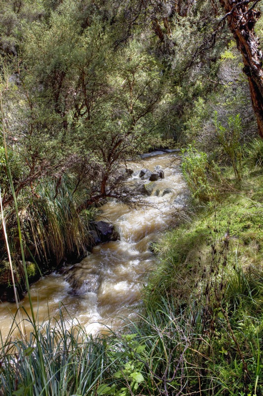 Photographer:
Juergen Stamms