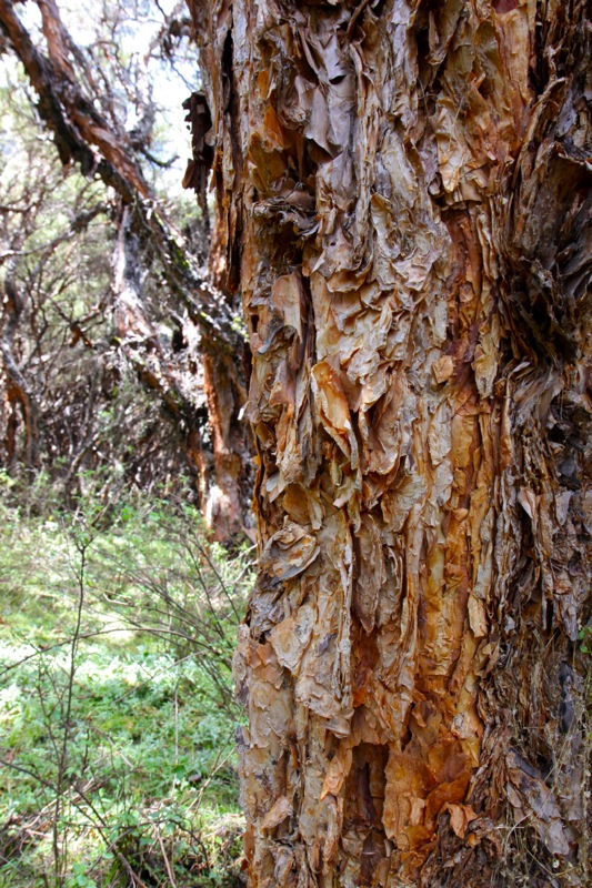 Photographer:Juergen Stamms