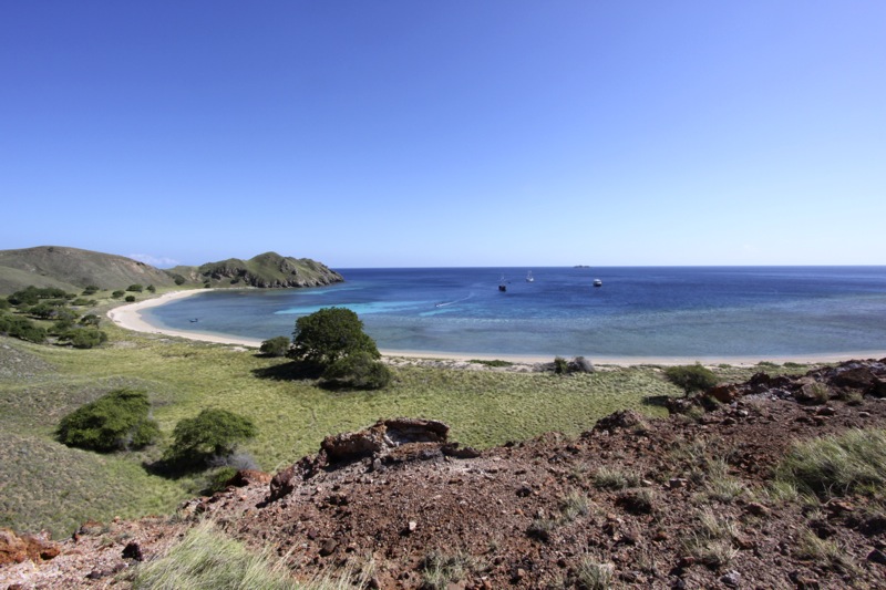 Photographer:
Juergen Stamms