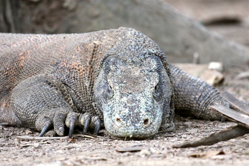 Photographer:Juergen Stamms