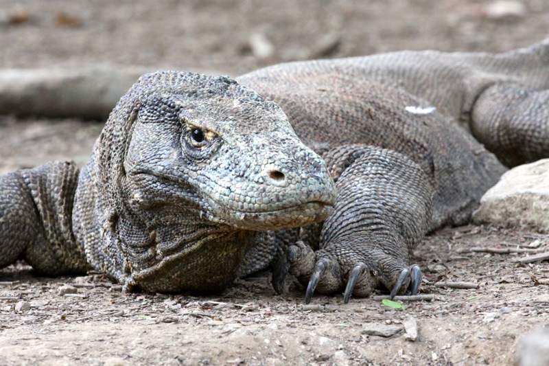 Photographer:Juergen Stamms