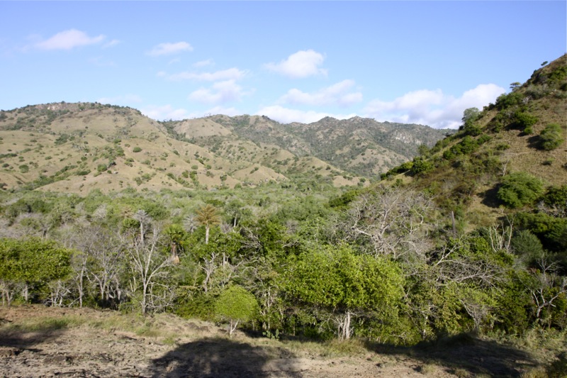 Photographer:
Juergen Stamms