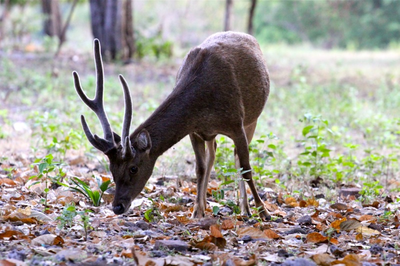 Photographer:Juergen Stamms