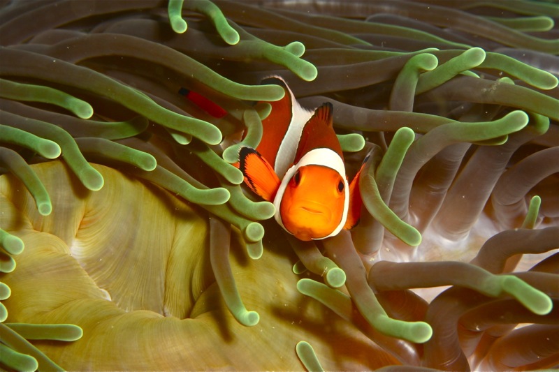 Photographer:Juergen Stamms