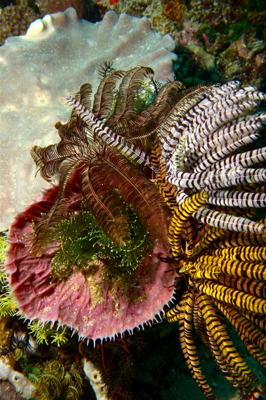 Photographer:Juergen Stamms