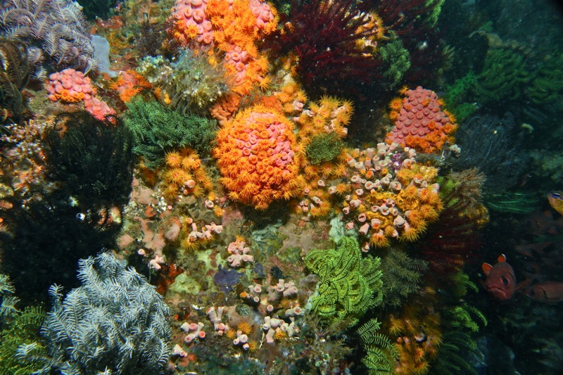 Photographer:Juergen Stamms