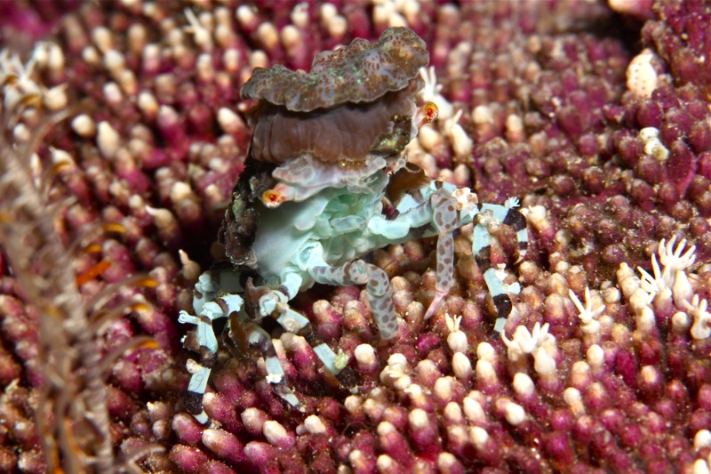 Photographer:Juergen Stamms