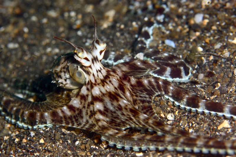 Photographer:Juergen Stamms