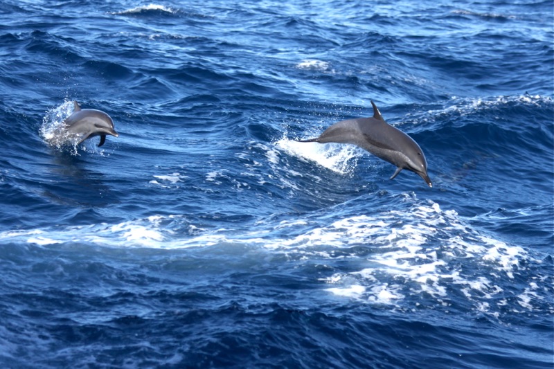 Photographer:Juergen Stamms