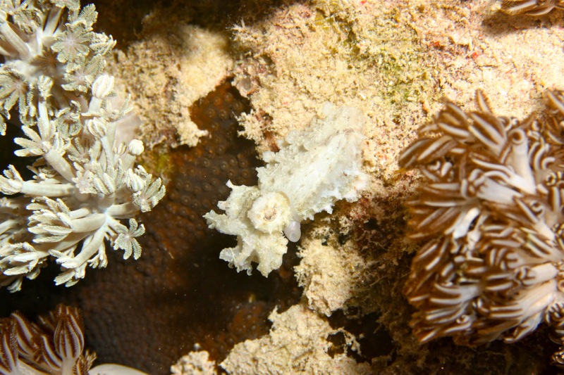 Photographer:Juergen Stamms