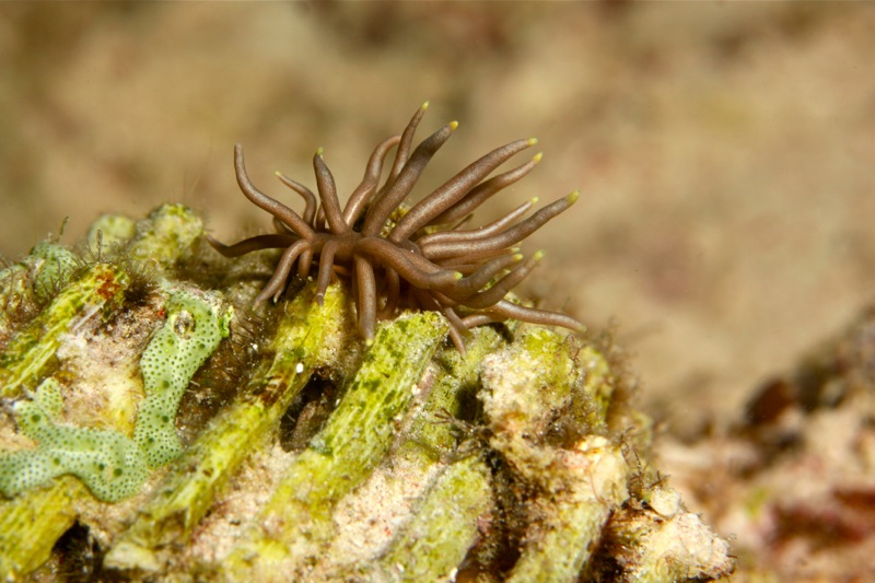 Photographer:Juergen Stamms