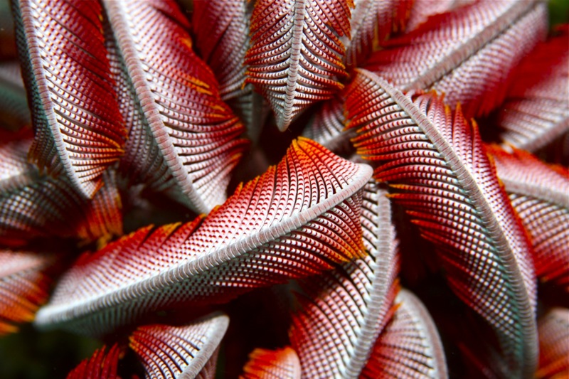 Photographer:Juergen Stamms