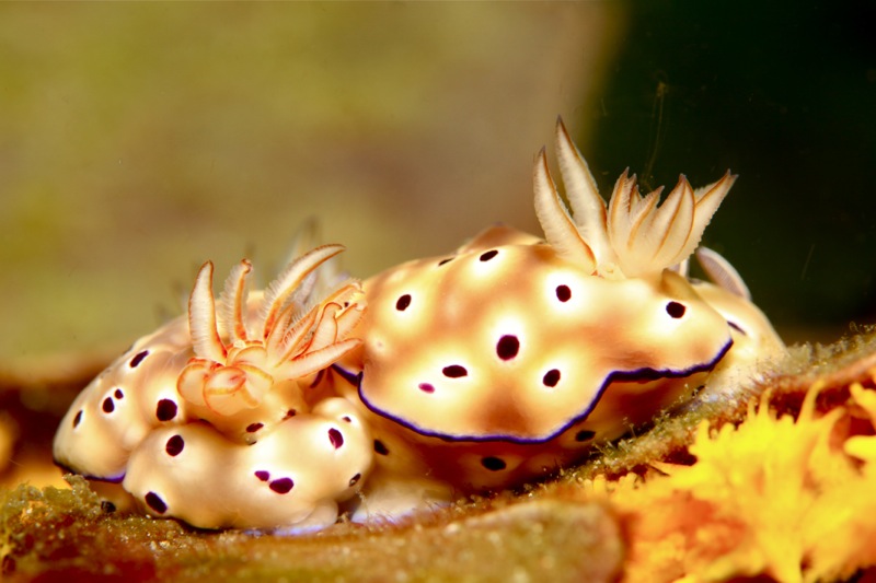 Photographer:Juergen Stamms