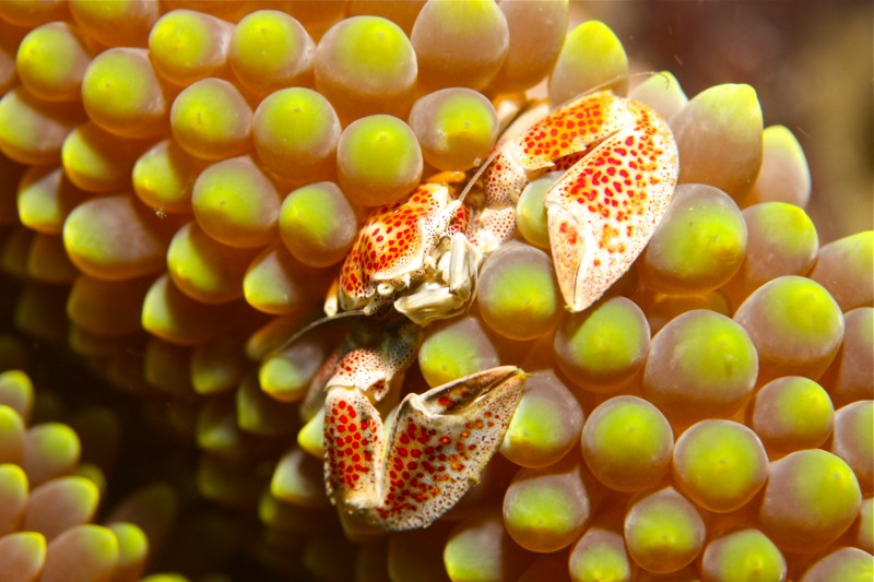 Photographer:Juergen Stamms