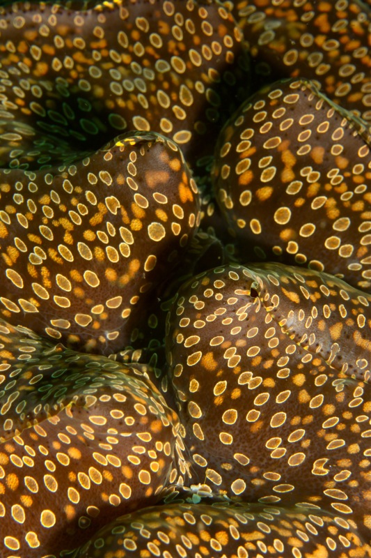 Photographer:Juergen Stamms