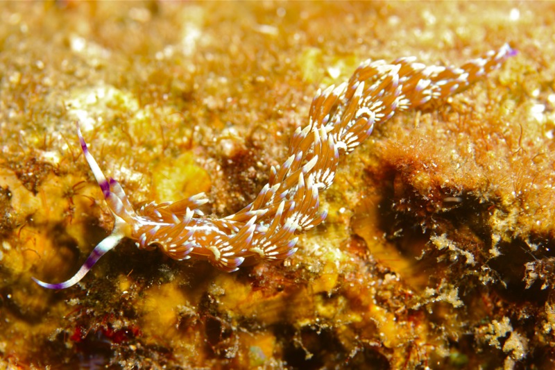 Photographer:Juergen Stamms