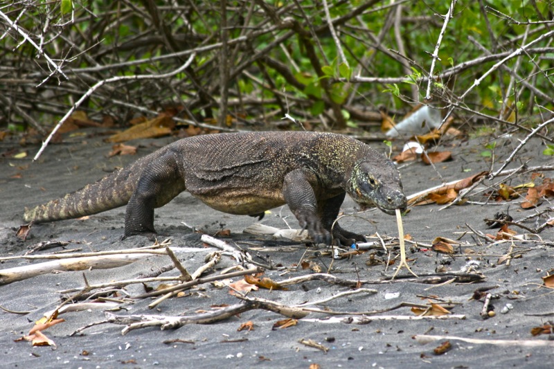 Photographer:Juergen Stamms