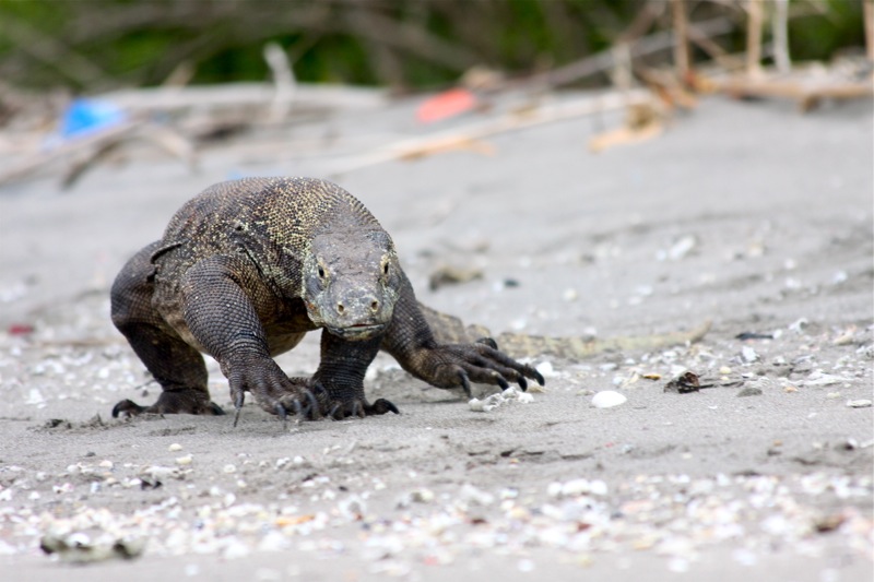 Photographer:Juergen Stamms