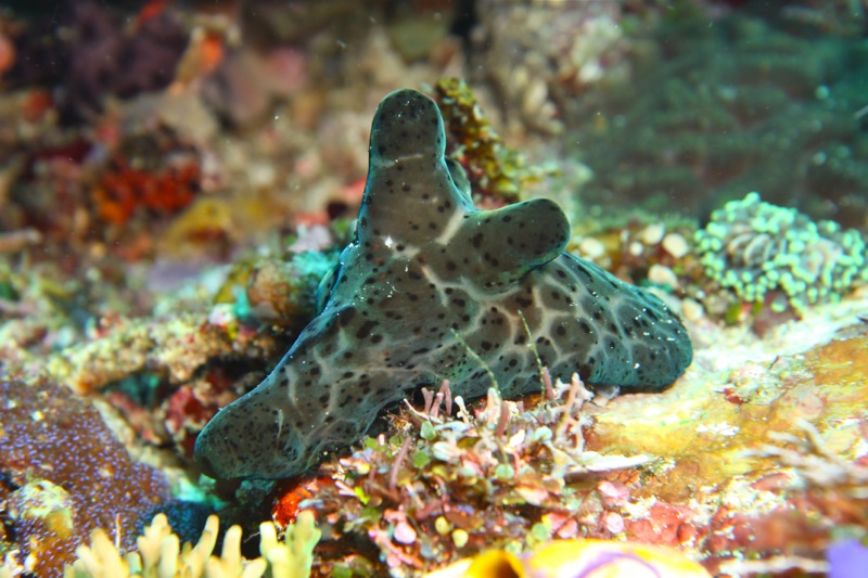 Photographer:Juergen Stamms