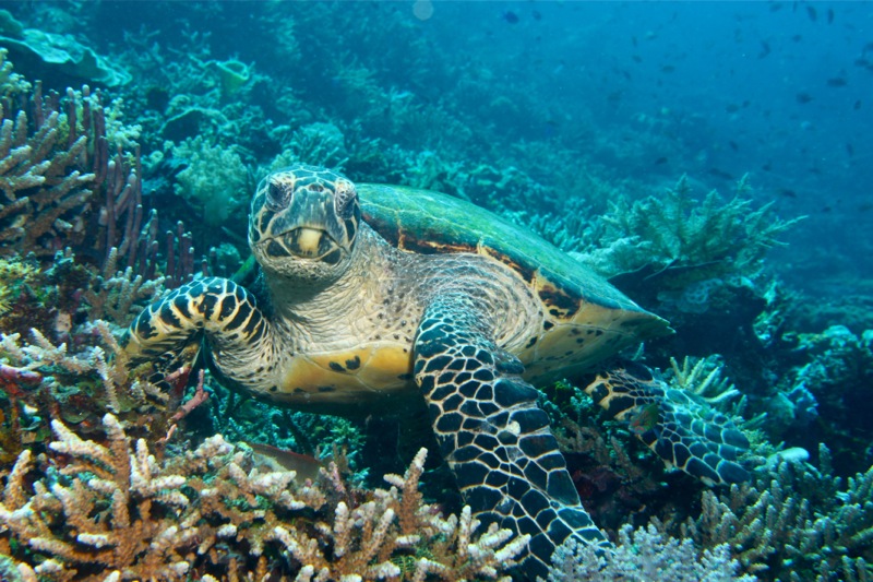 Photographer:Juergen Stamms