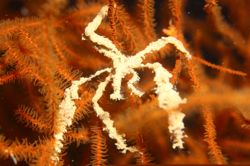 Photographer:Juergen Stamms