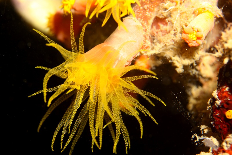 Photographer:Juergen Stamms