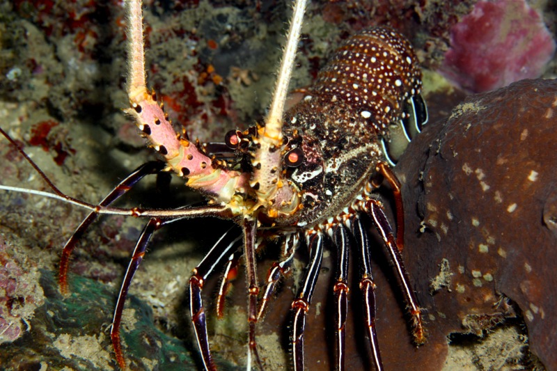 Photographer:Juergen Stamms