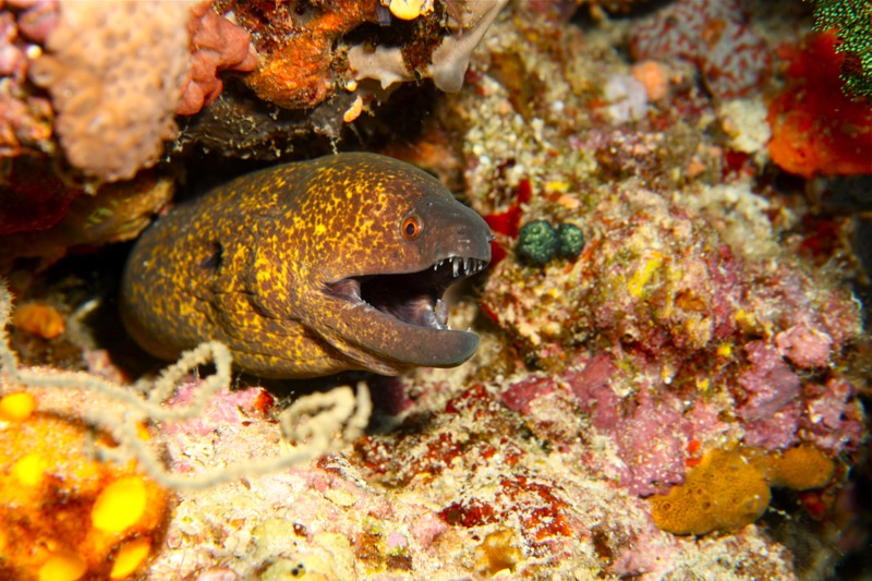 Photographer:Juergen Stamms