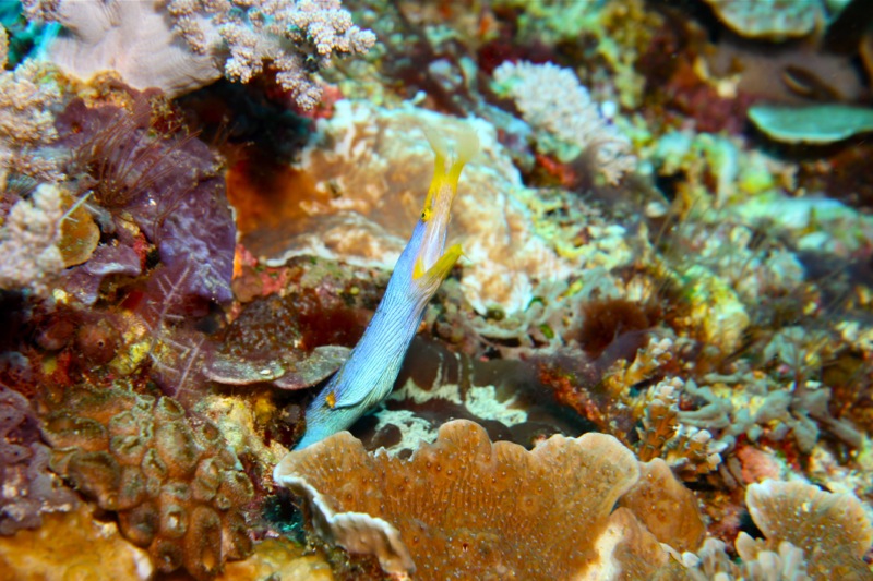 Photographer:Juergen Stamms