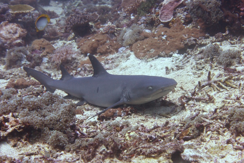 Photographer:Juergen Stamms